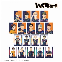 【排球少年!!】Ani-Art 第4彈寫真卡